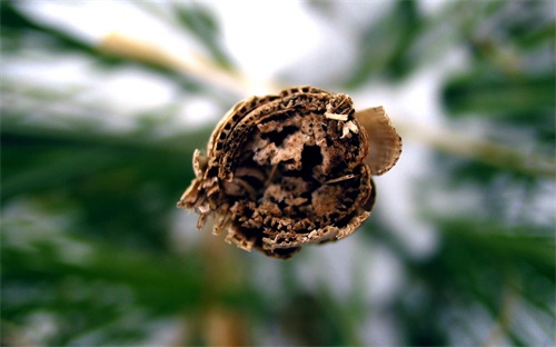 杨凌职业技术学院有哪些专业,高等学府专业课程设施与师资力量对比