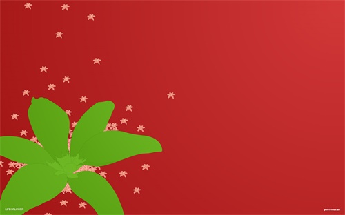 武汉大学光电信息专业排名,武汉大学本科专业排名最好专业有哪些?